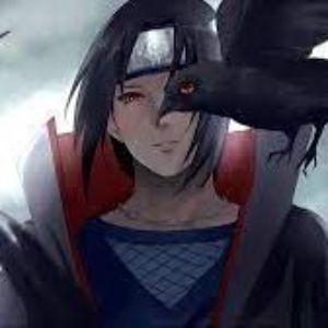 Shag-foal avatar