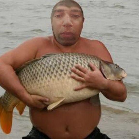 BROSSKO avatar