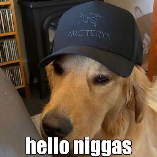 daCarrydoge avatar