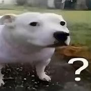 kralsniperyo
