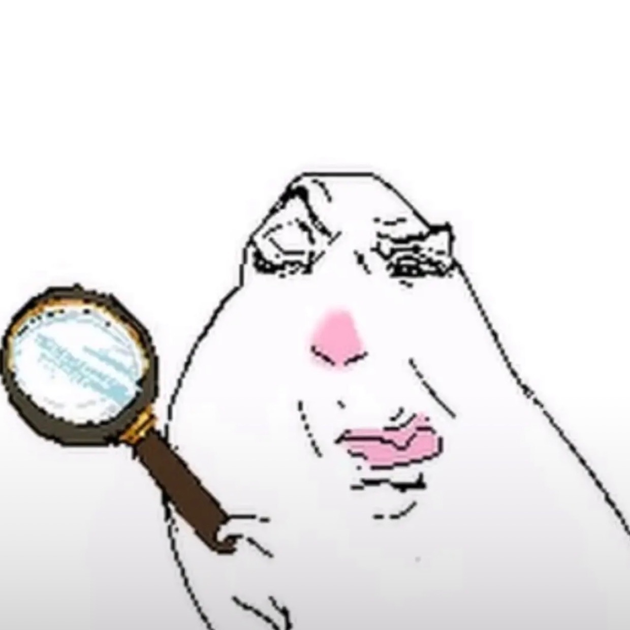 xreflxx FACEIT avatar