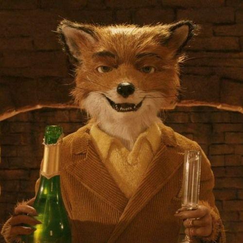 MR_FOX3