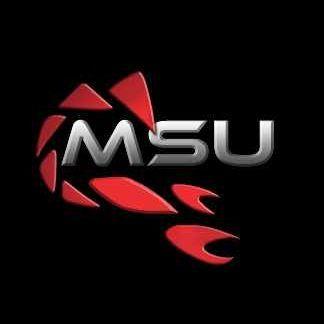 -MSU619 avatar