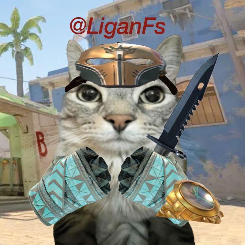 LiganFs avatar