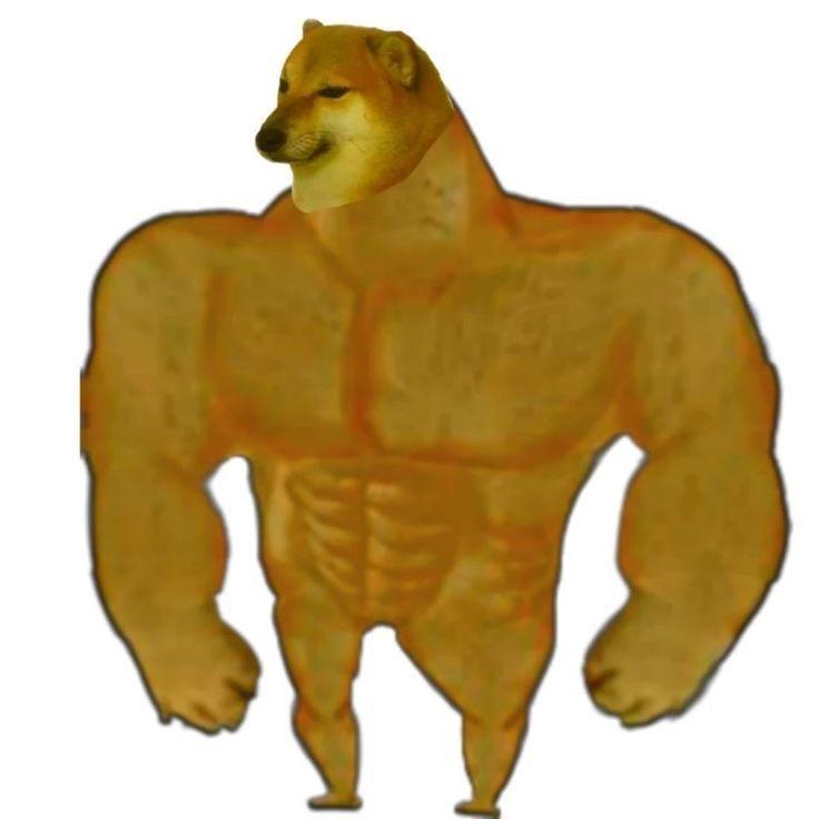 K_S_M_M_N12 avatar