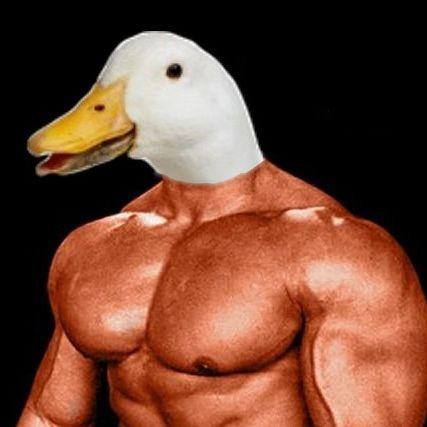 DuckBuild avatar