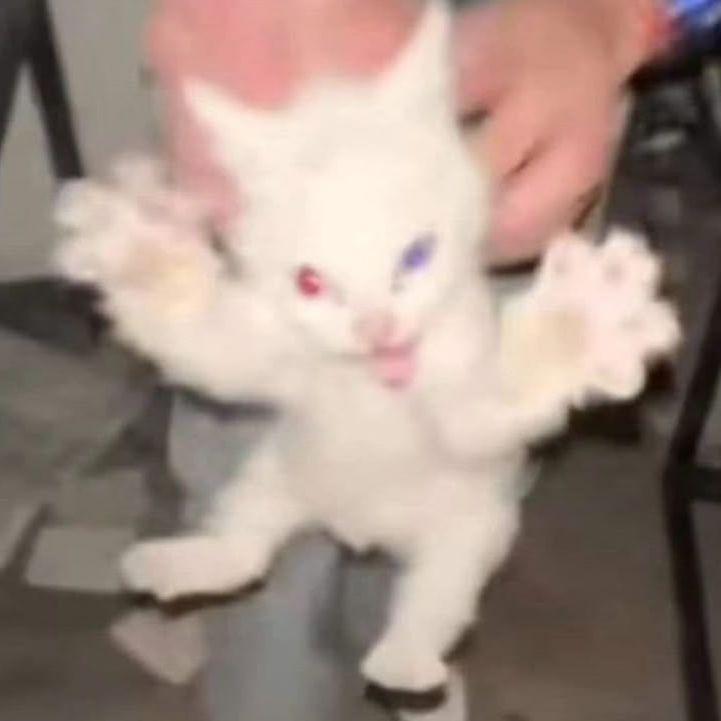 shukufukuwho