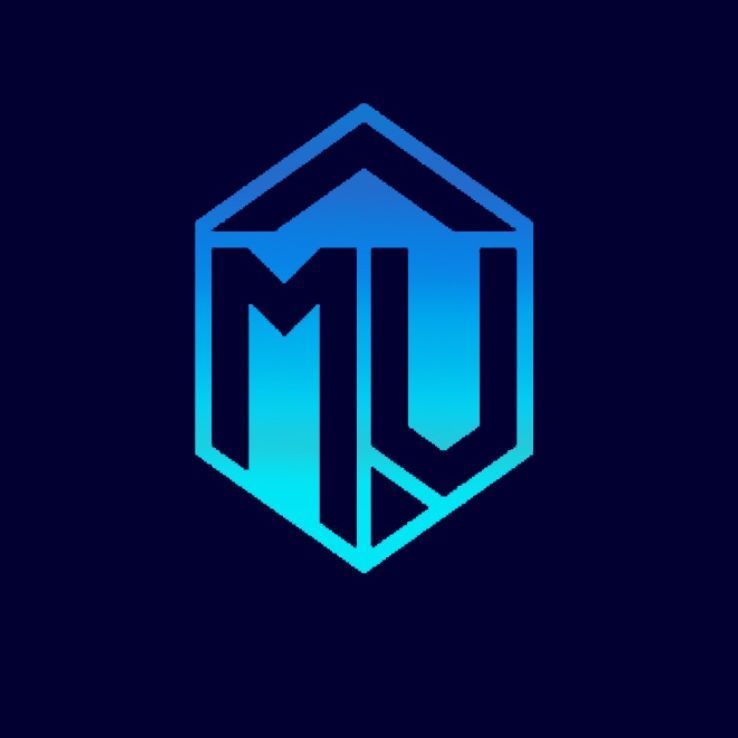 MindVision