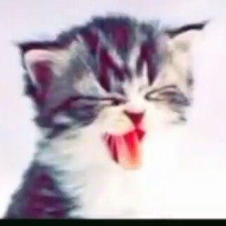 C6H12HF34 avatar