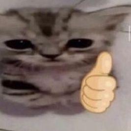 soso_sisi