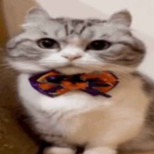 Faceit Avatar