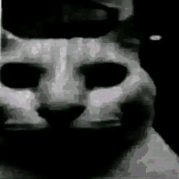 eboykittyg7y avatar