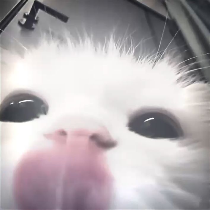pappoth