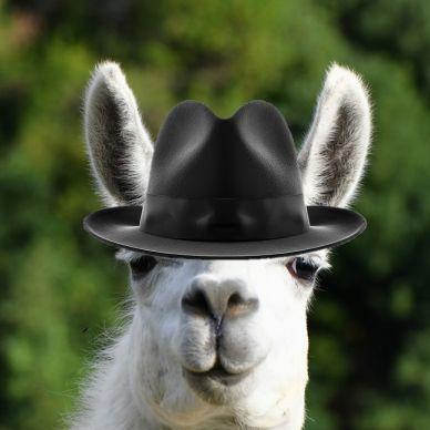 StylishLlama avatar