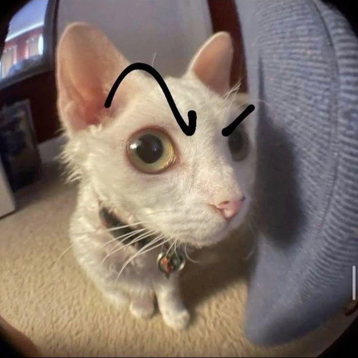 ChenWu avatar