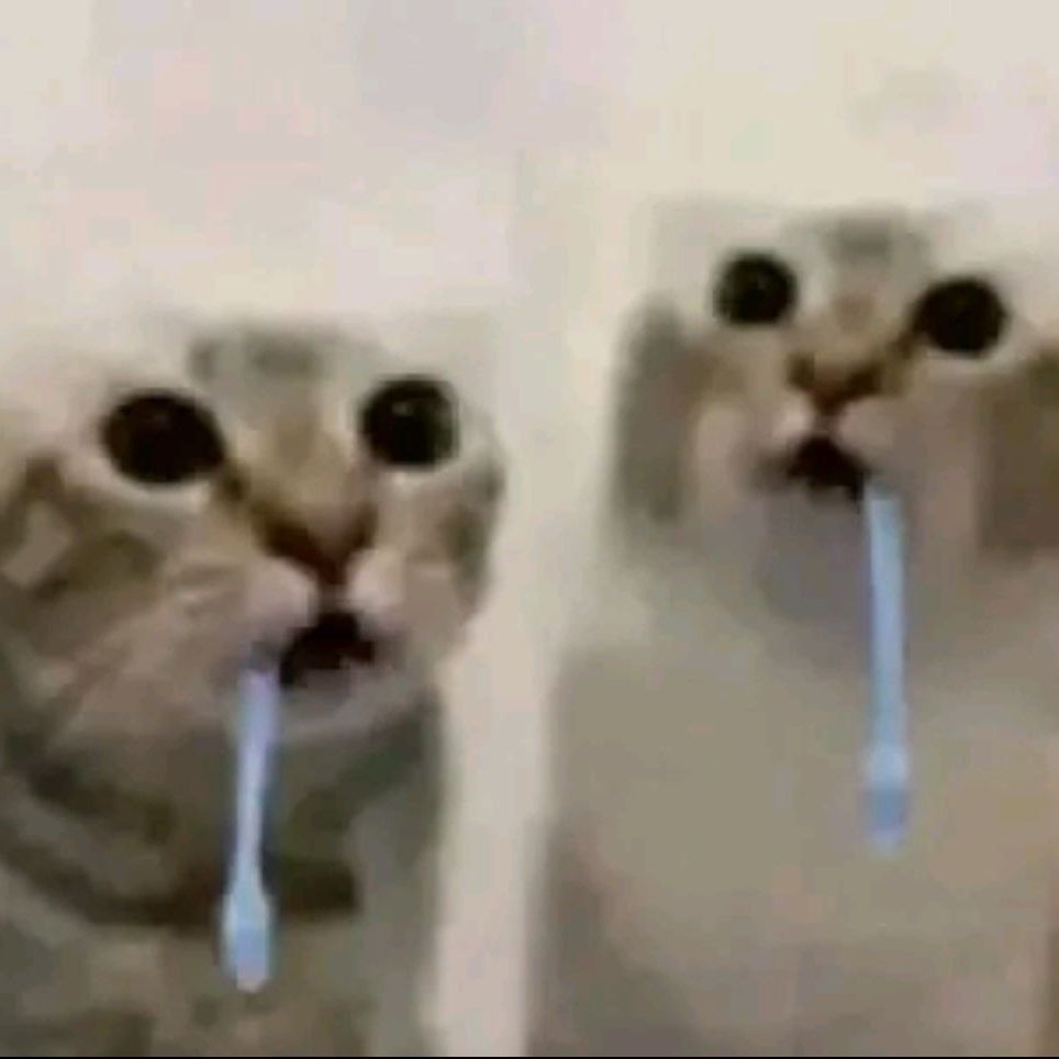 t0ruuuuu