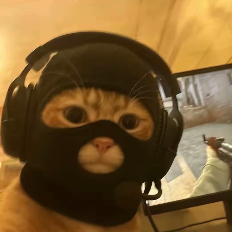 dyz1