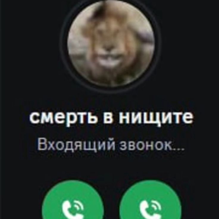 ayosa avatar