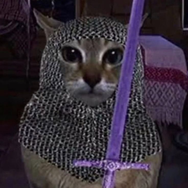 meowknight