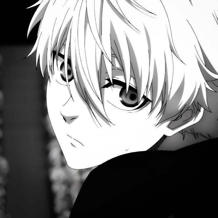 kyukki1 avatar