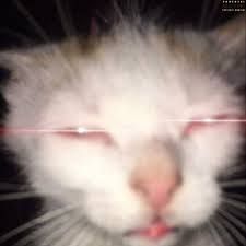 MrTapke