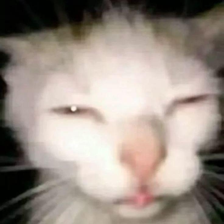 -vanyasuper avatar