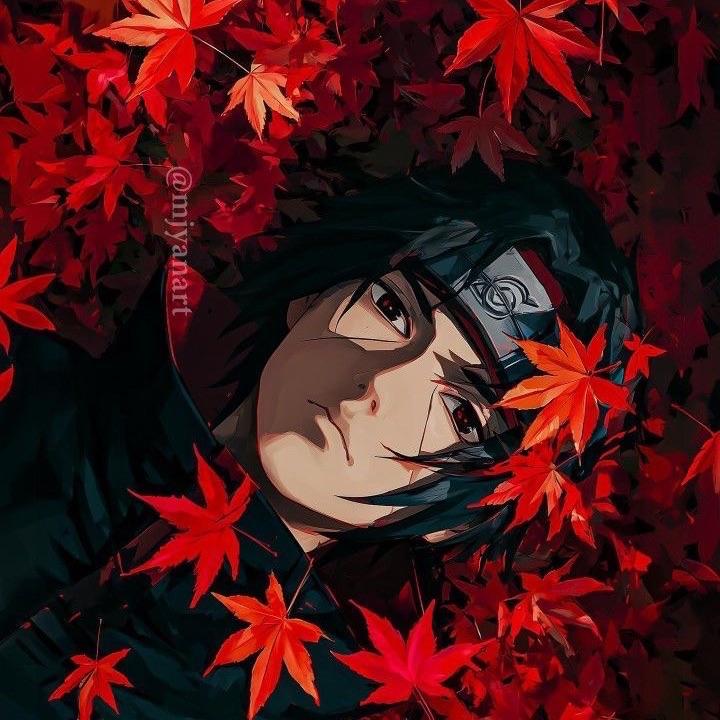 Attonn1 avatar