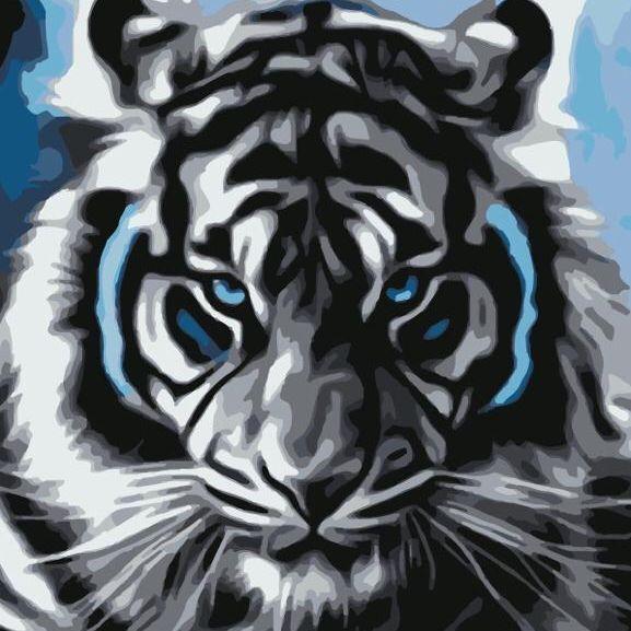 PRO-TIGER avatar