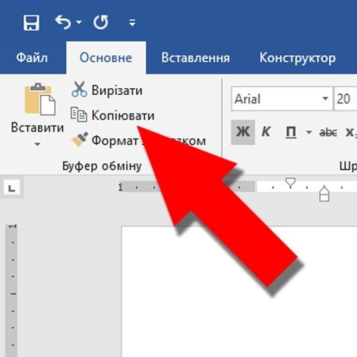 Netishyn