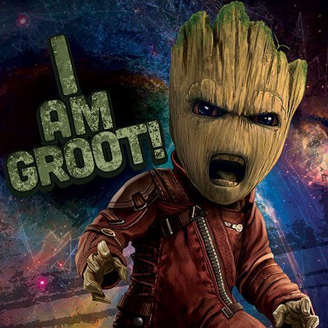 Nawigator FACEIT avatar