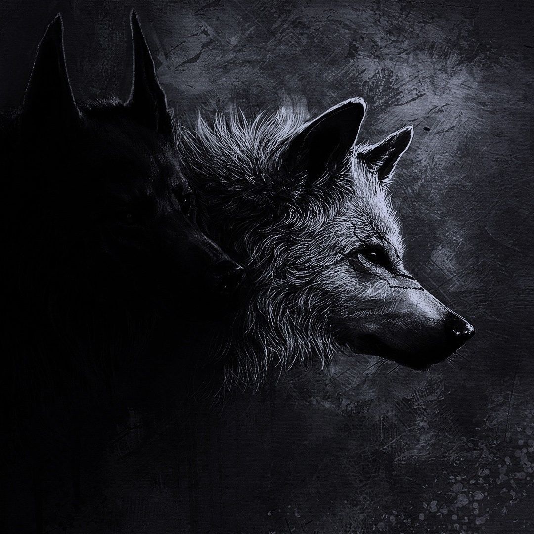 WolvesTeam