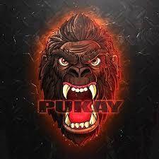 pukAyYy avatar