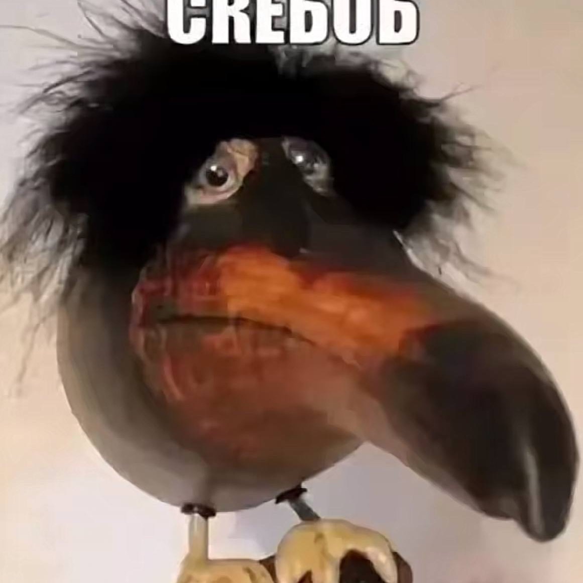 w1btw