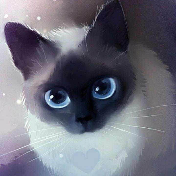 Cenzzura avatar