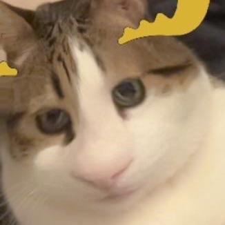 M4G1W0W avatar