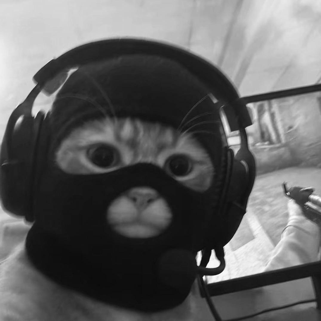 frostzz avatar
