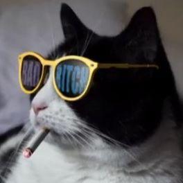EXkapitonass avatar