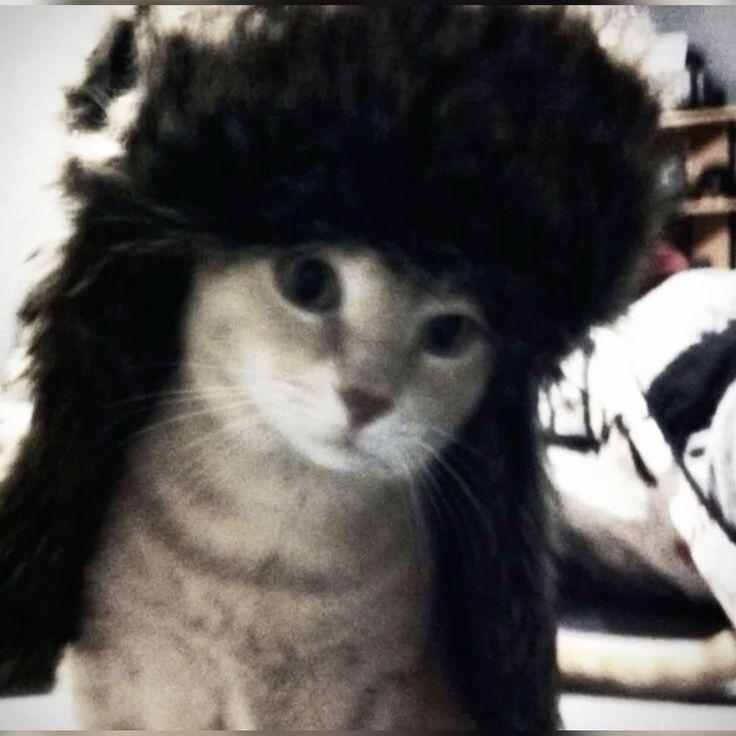 NK1TT avatar