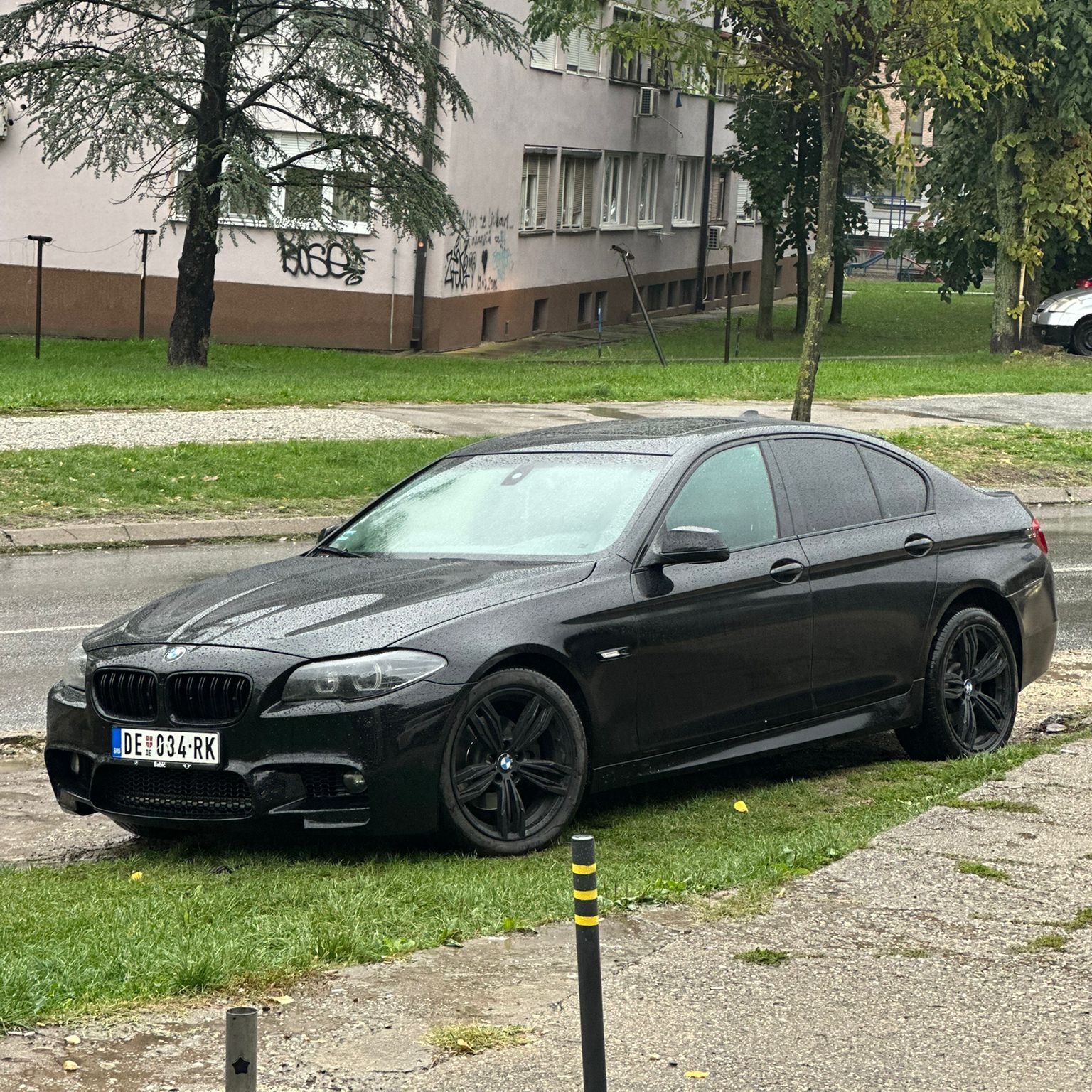 terzaaa_