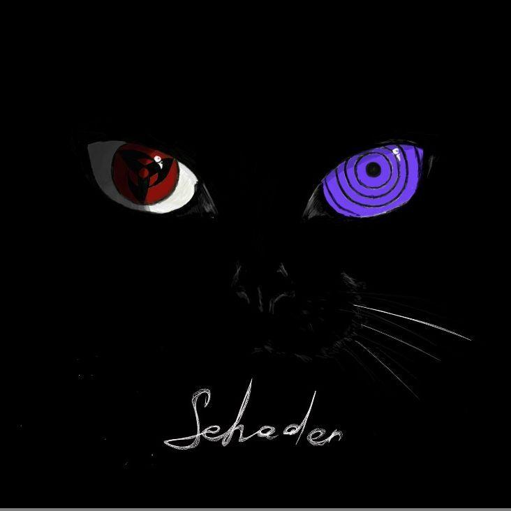 Schaden08 avatar