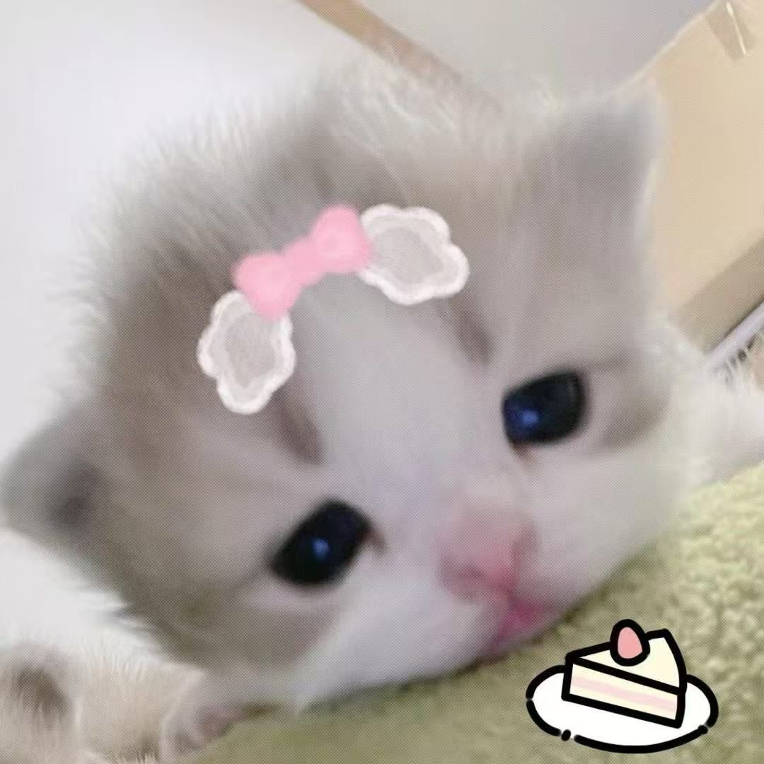 xiaoyangzhu
