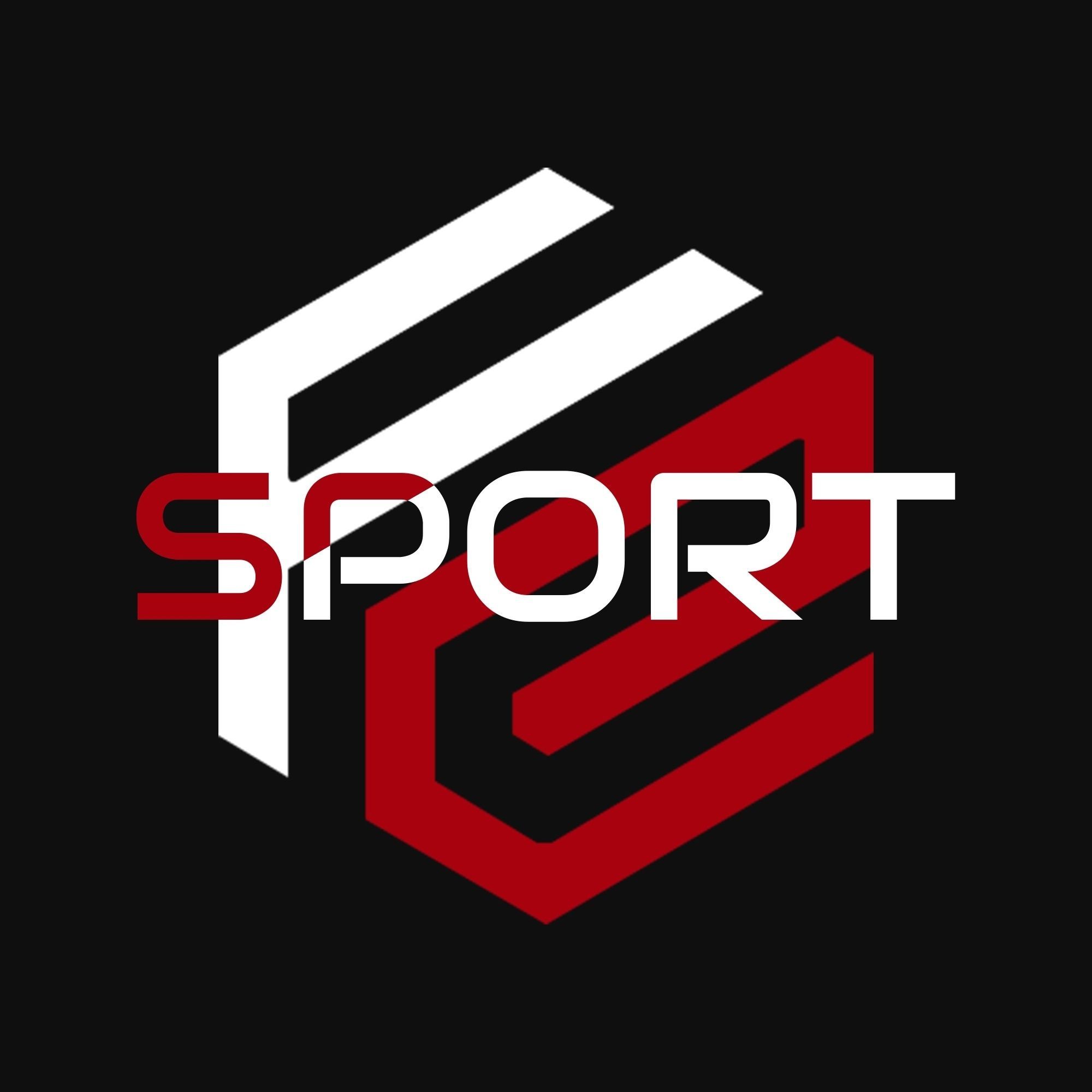 FIN E-SPORT 1