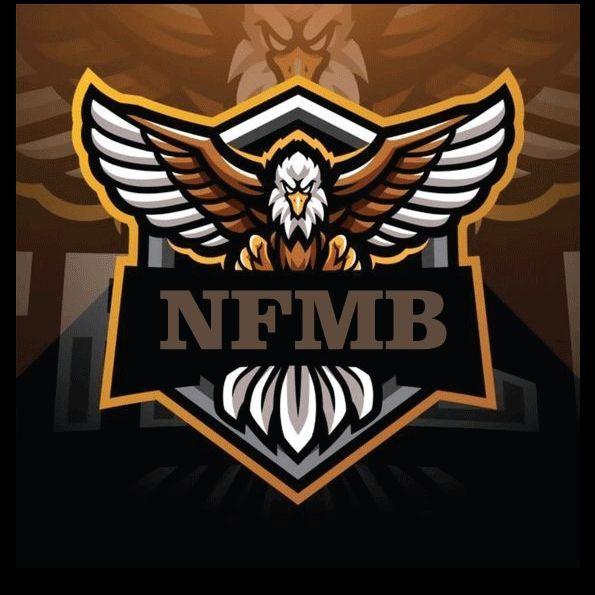 Player NFMB-BESII avatar