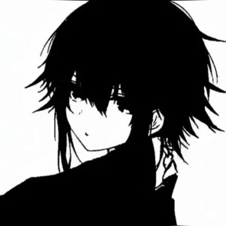 shxshxsw avatar
