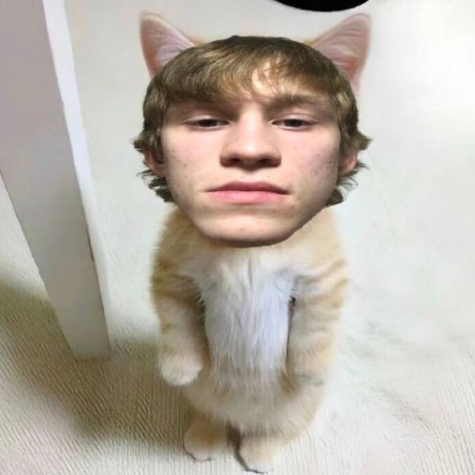 zipq666