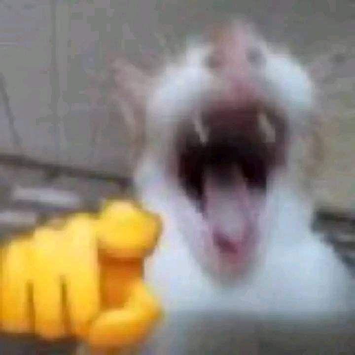 TajkMajsonPL avatar