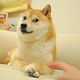 DrBamboozle