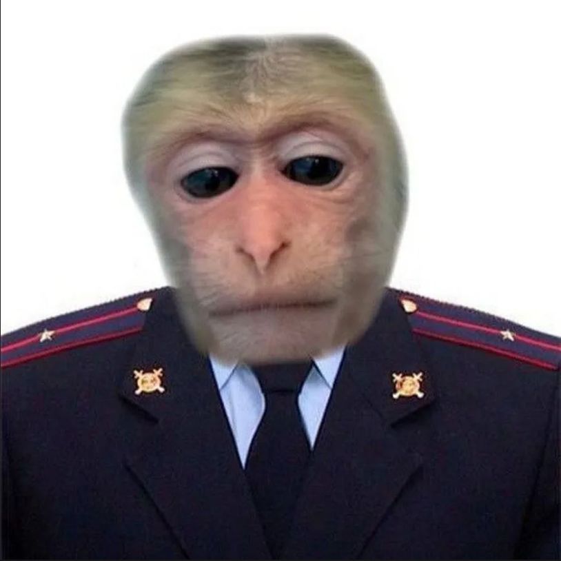 Verji FACEIT avatar