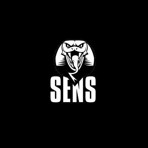 s3nsitivity avatar