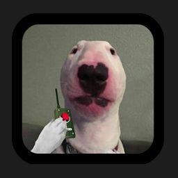 DiglPlay avatar